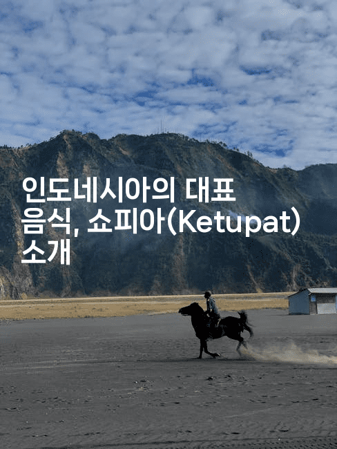 인도네시아의 대표 음식, 쇼피아(Ketupat) 소개
-인도네시아나
