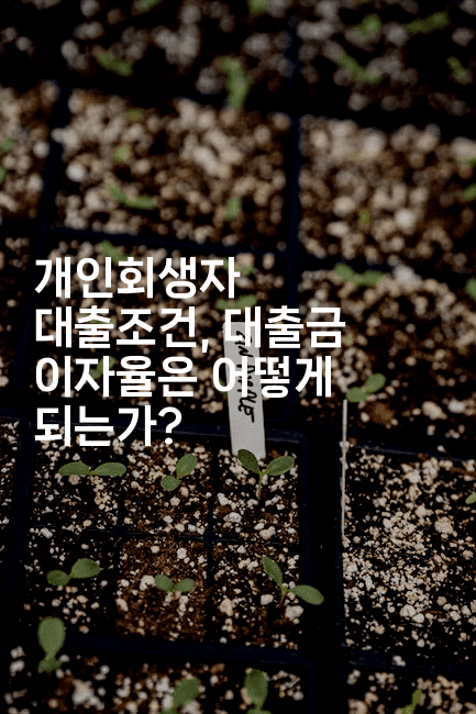 개인회생자 대출조건, 대출금 이자율은 어떻게 되는가?-인도네시아나