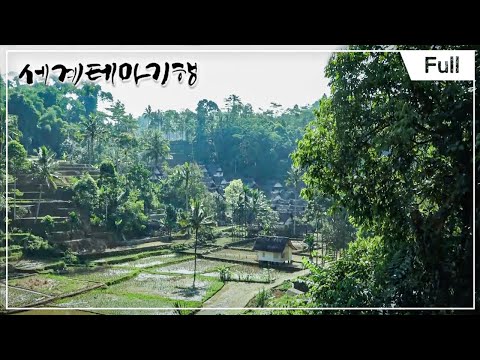 [Full] 인도네시아 화산섬 자바를 가다 1~4부