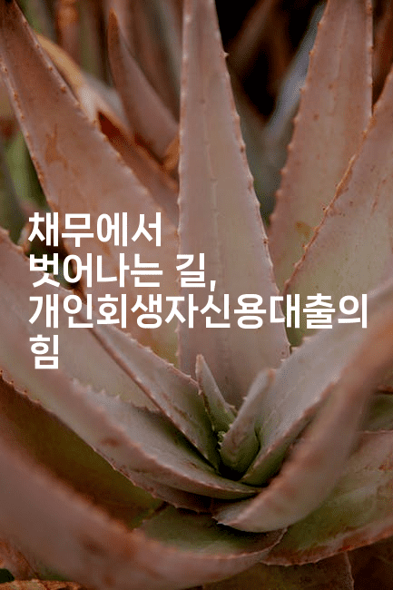 채무에서 벗어나는 길, 개인회생자신용대출의 힘-인도네시아나