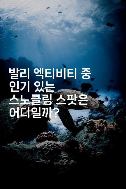 발리 엑티비티 중 인기 있는 스노클링 스팟은 어디일까?2-인도네시아나