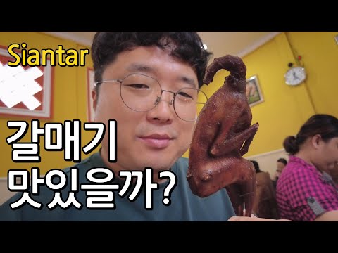 [ENG SUB] 인도네시아 갈매기를 먹어보자!  Let's eat Indonesian seagull! (5) – 인도네시아 메단 Medan Indonesia