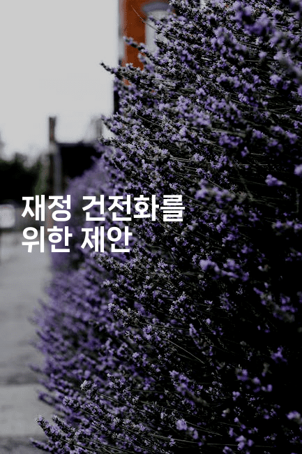 재정 건전화를 위한 제안-인도네시아나