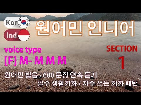 원어민 인니어 / Type [F] M- M M M [Section 1] 원어민 발음 / 짧고 쉬운 600문장 연속 듣기