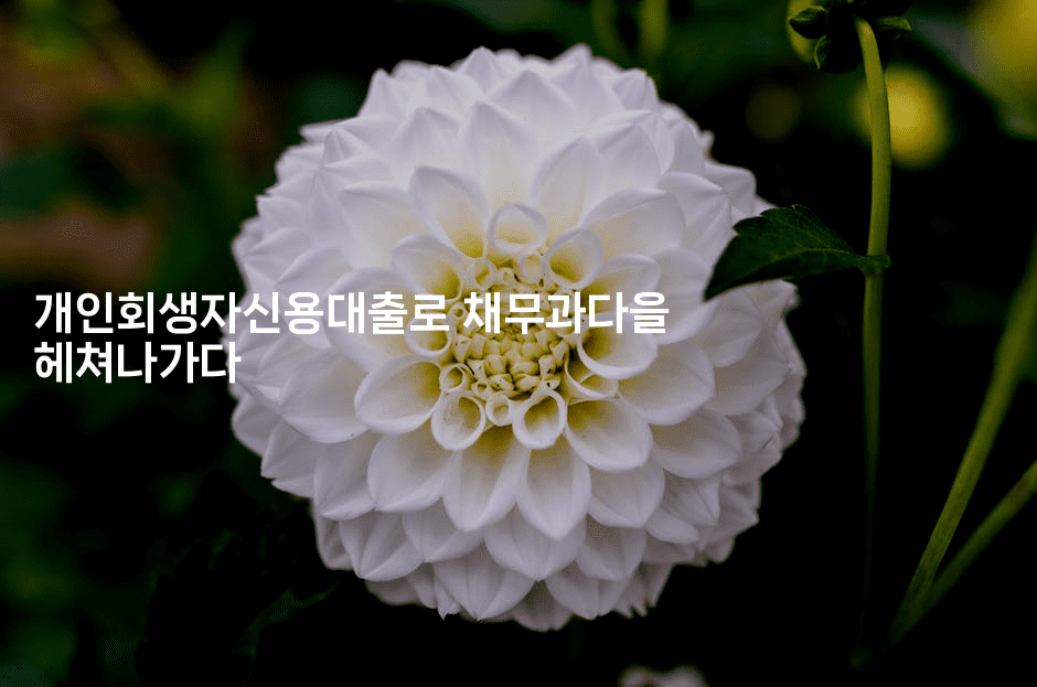 개인회생자신용대출로 채무과다을 헤쳐나가다-인도네시아나