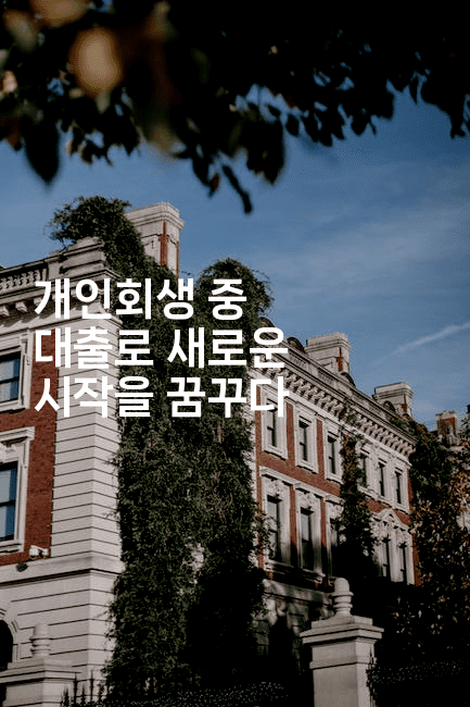 개인회생 중 대출로 새로운 시작을 꿈꾸다-인도네시아나