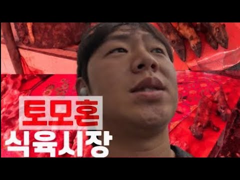 [인도네시아 생존기 EP.2] 고양이,뱀,쥐 등 오만걸 다 파는 토모혼 식육시장가기